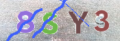 CAPTCHA-Bild